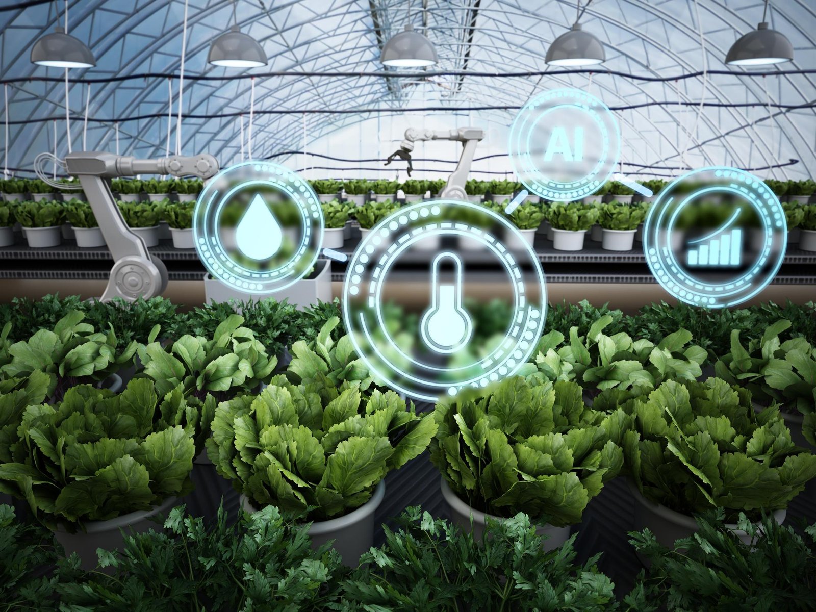 Autonomous Agronomy